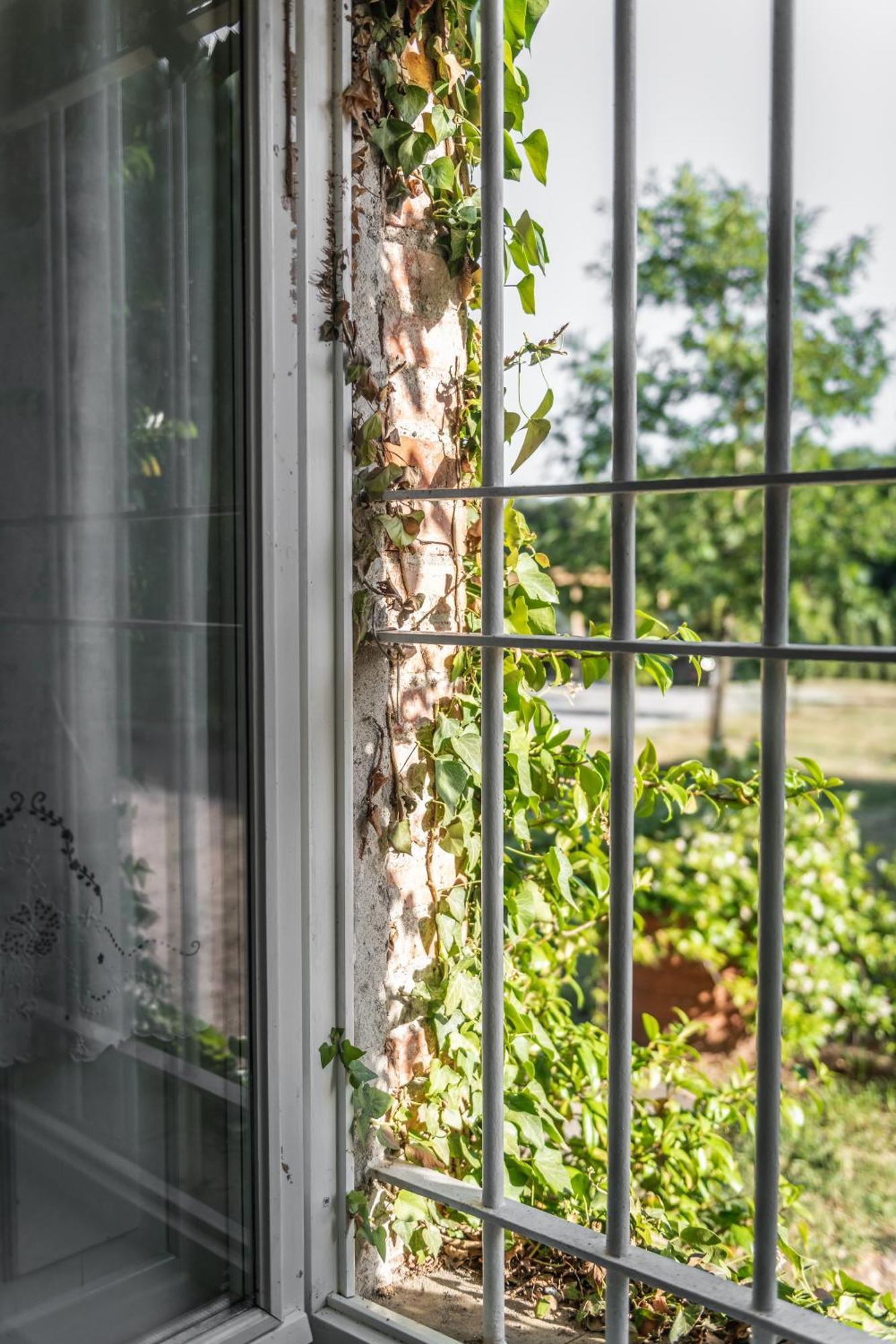 Villa Casolare del Pin Bono Altopascio Esterno foto